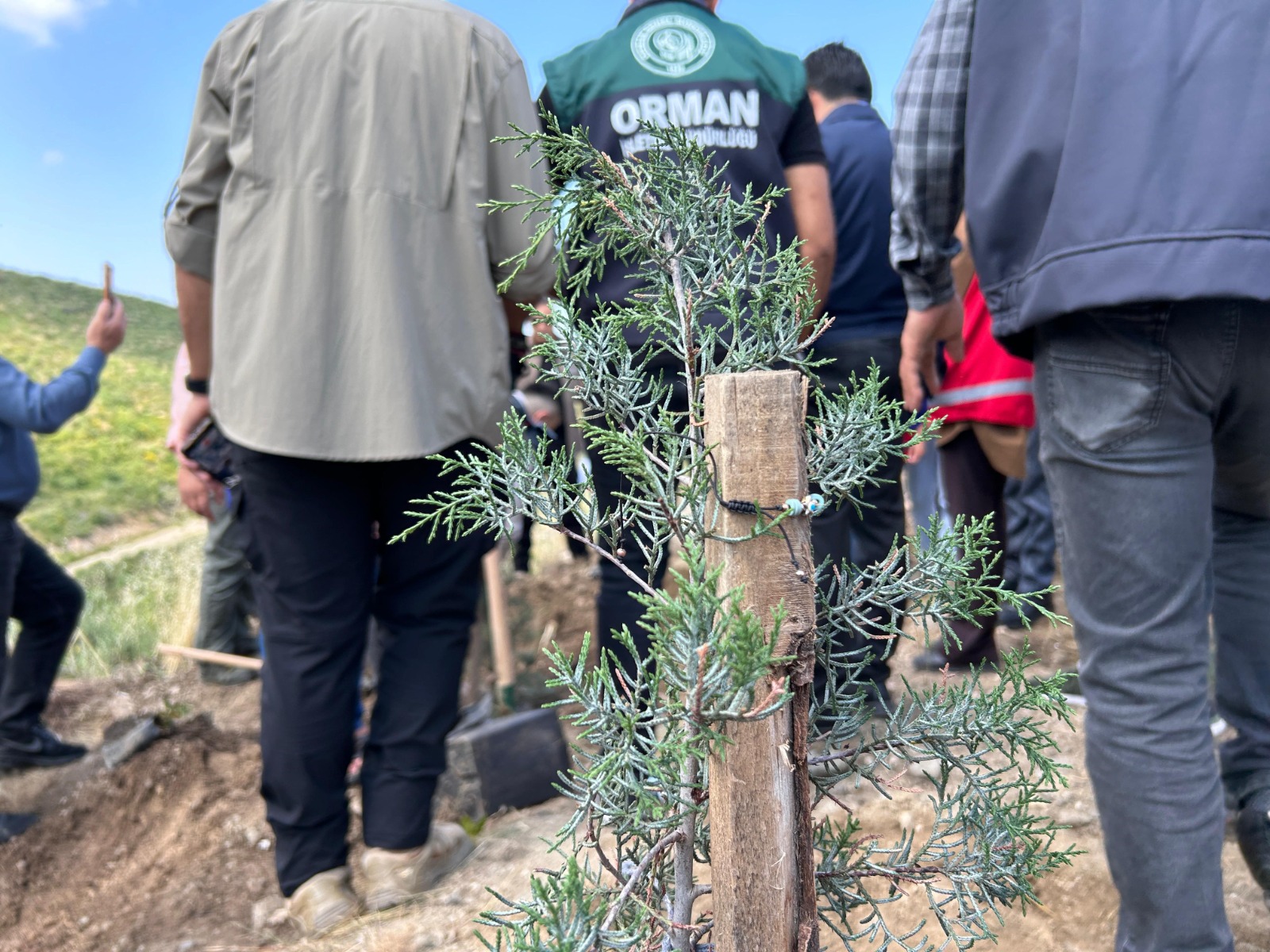 Hatay’da Orman Benim: Fidanlar toprağa kök salıyor