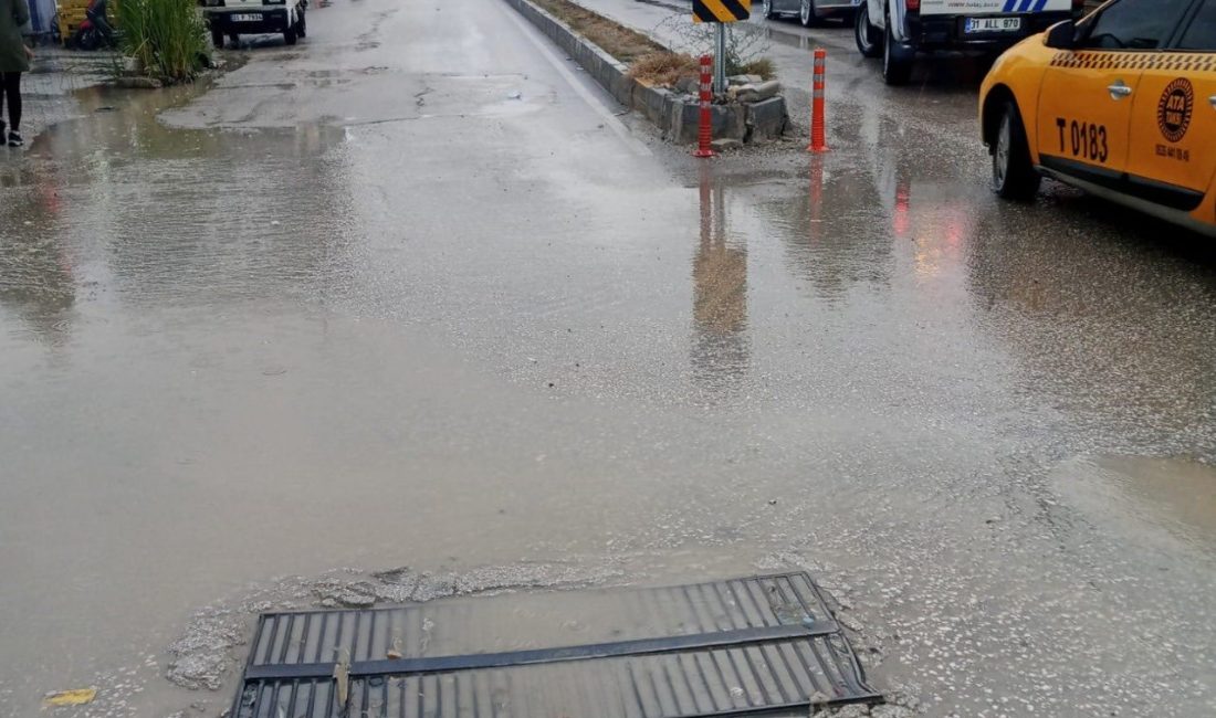 Hatay Büyükşehir Belediyesi, son