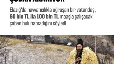Elazığ’da, 60-100 Bin TL maaşla çalışacak bir çoban aranıyor! İş