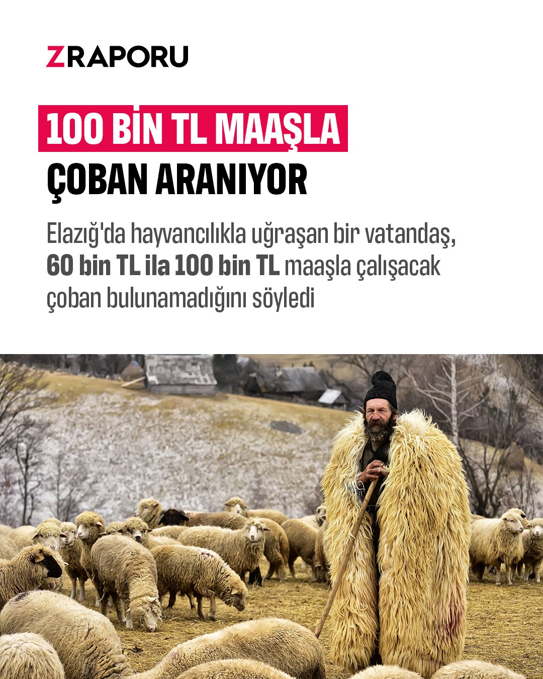 100 bin TL maaşla kim çalışmaz?