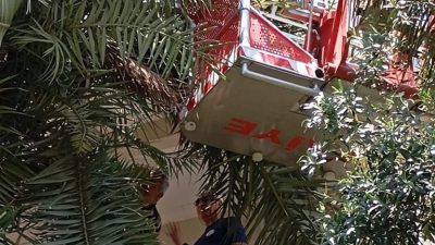 Hatay’ın Payas ilçesine bağlı Yıldırım Beyazıt Mahallesi’nde yaşanan olayda, bir