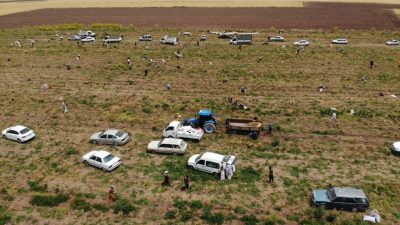 Hatay’ın Kumlu ilçesinde bir çiftçi, istediği verimi alamadığı 80 dönüm