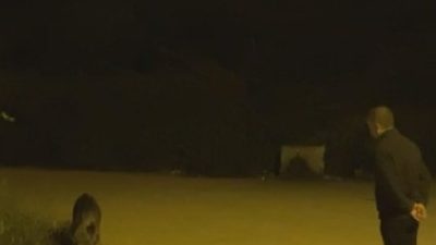 Hatay’ın Defne ilçesinde yem bulamadıkları için Dursunlu Mahallesi’ni mesken tutan