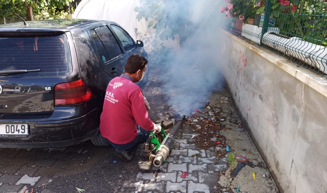 Hatay Büyükşehir Belediyesi, il