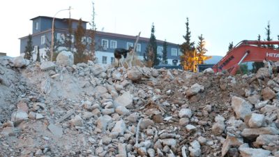 Hatay’ın Kırıkhan ilçesinde yıkımı gerçekleştirilen hasarlı binaya giren hayvansever İbrahim