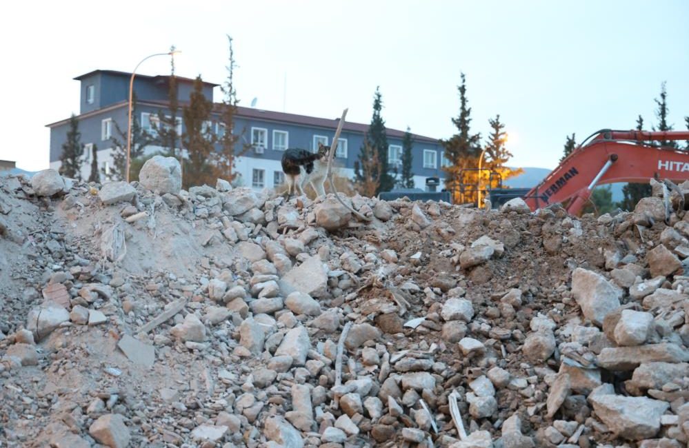 Hatay’ın Kırıkhan ilçesinde yıkımı gerçekleştirilen hasarlı binaya giren hayvansever İbrahim
