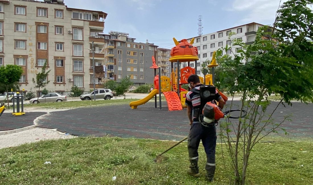 Antakya Belediyesi Temizlik İşleri