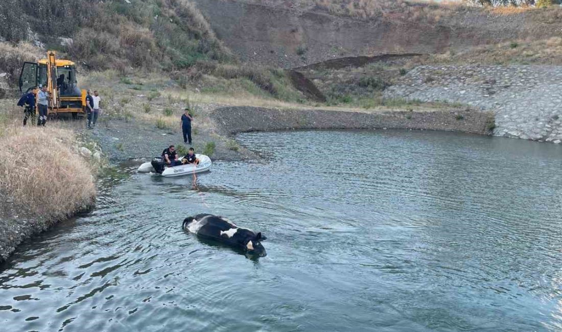 Hatay’ın Antakya ilçesinde gölete