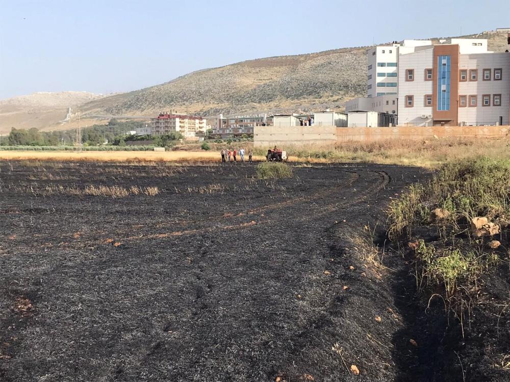 Buğday Tarlasında Çıkan Yangın Söndürüldü