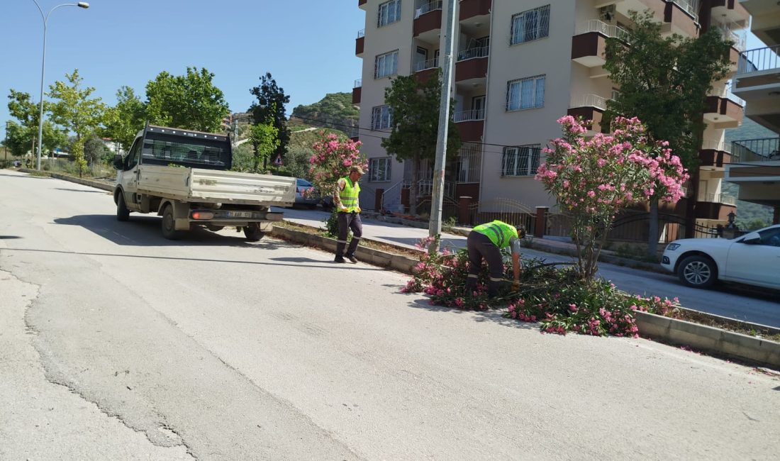 Hatay Büyükşehir Belediyesi, il