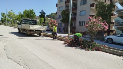 Hatay Büyükşehir Belediyesi, il genelindeki ana arterler ve caddelerde başlattığı