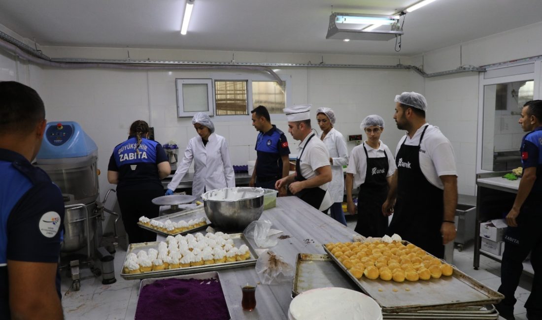 Hatay Büyükşehir Belediyesi, il