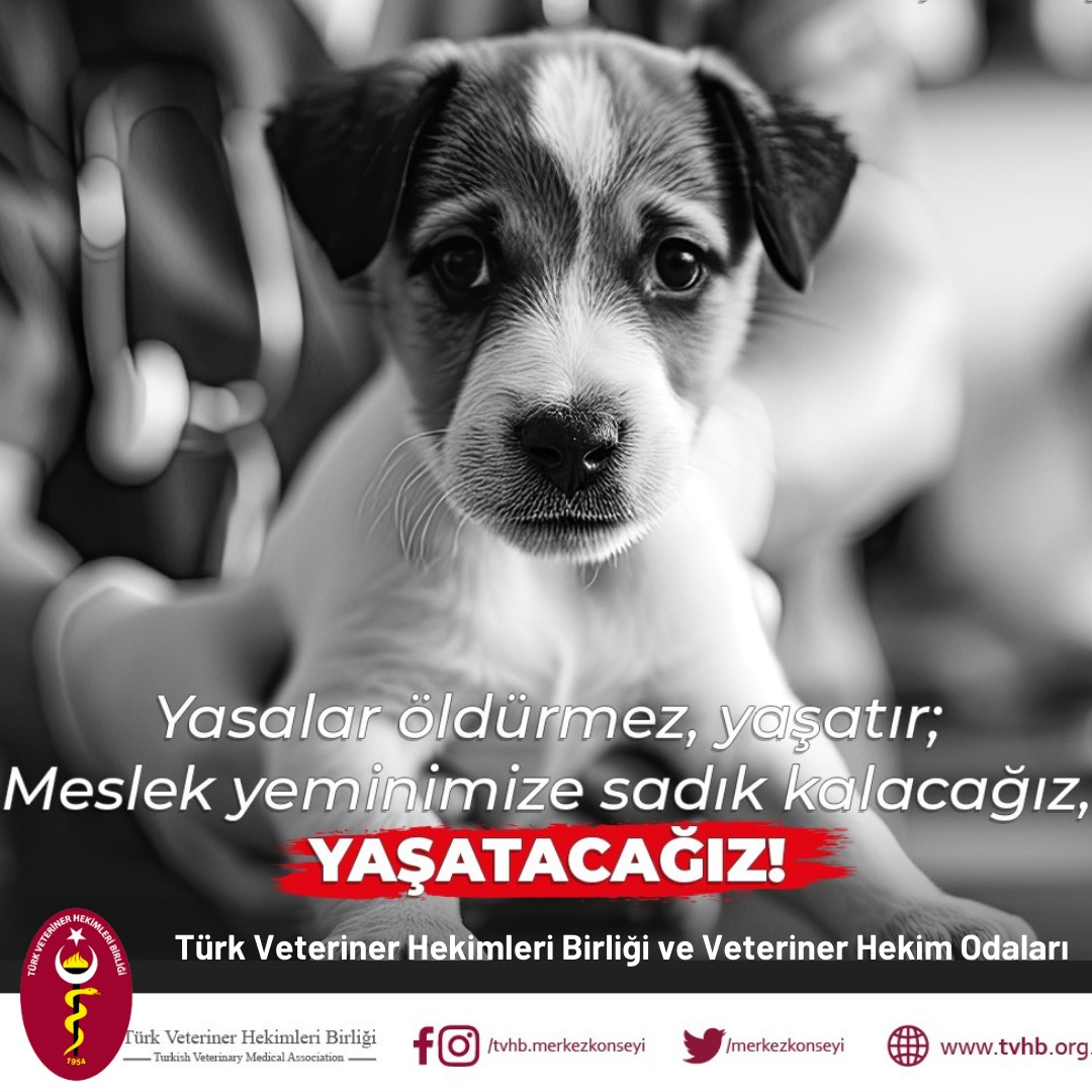 ‘’Yasalar Öldürmez, Yaşatır’’