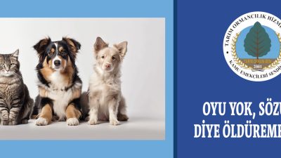 Kamu Emekçileri Sendikası Tarım Ormancılık Hizmet Kolu (Tarım Orkam-Sen), meclise