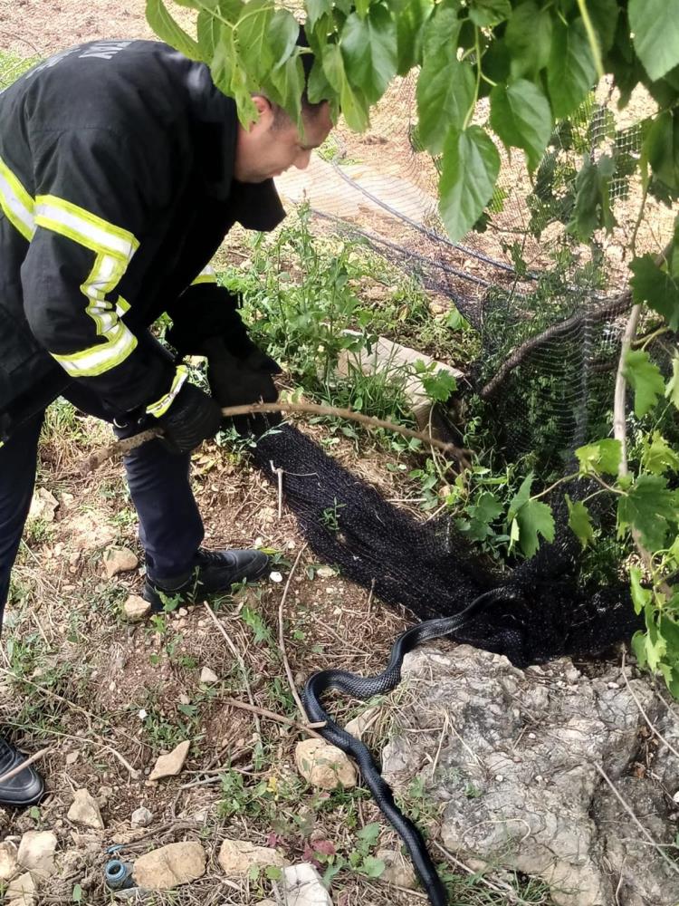 İtfaiyenin Yardımı Bu Kez Yılana