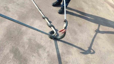 Hatay’ın İskenderun ilçesinde bir iş yerine giren yılan, itfaiye ekipleri