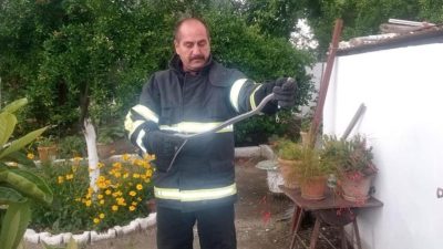 Hatay’ın Erzin ilçesine bağlı İsalı Mahallesi’nde bir kümese giren yılan,