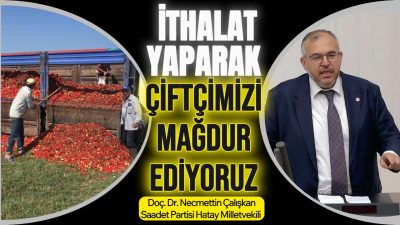 Saadet Partisi Hatay Milletvekili Doç. Dr. Necmettin Çalışkan, Türkiye Büyük