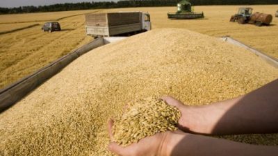 Buğday teslimatı için TMO randevularının minimum 1 ay sonraya verilmesi,