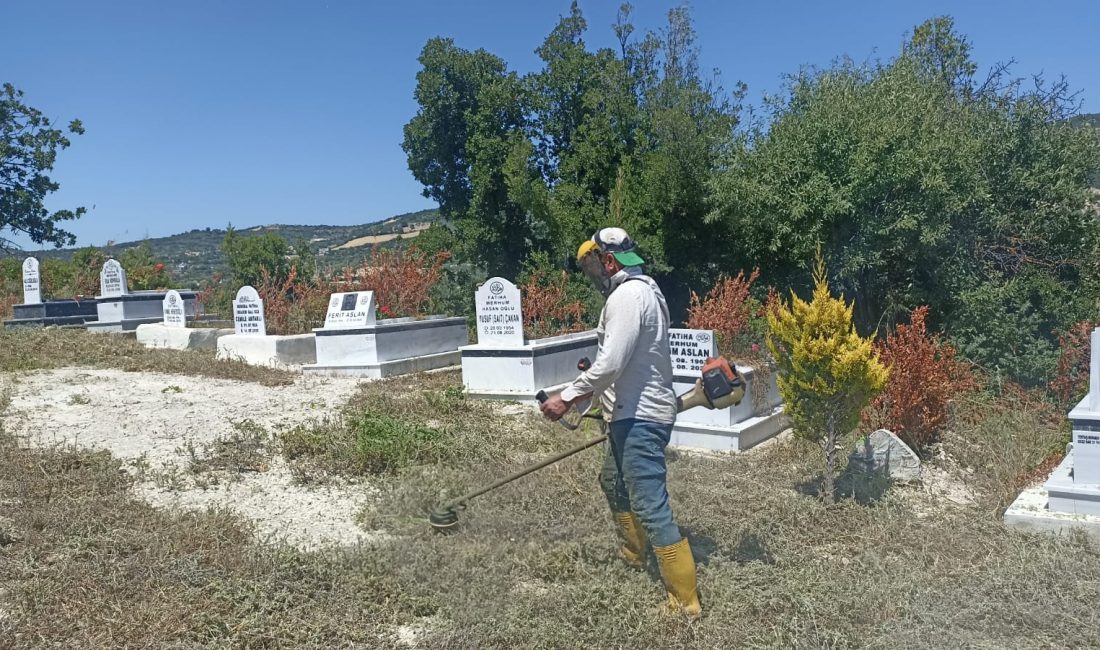 Hatay Büyükşehir Belediyesi, Kurban