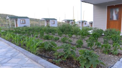 Hatay MKÜ kampüsünde kurulan Hobi Bahçeleri için kura çekimi yapıldı.