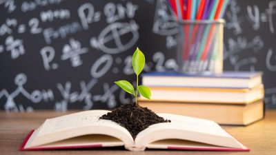 Millî Eğitim Bakanlığı, 2024-2025 eğitim öğretim yılı takvimini açıkladı. Millî