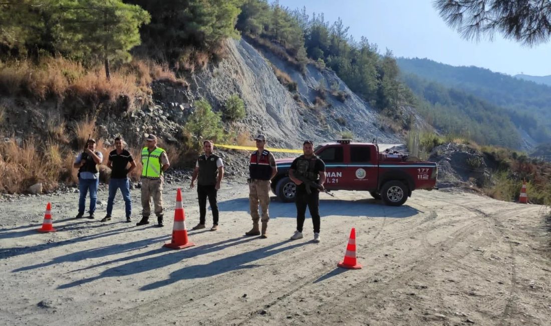 Hatay’ın Dörtyol ilçesinde, orman