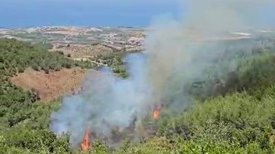 Hatay’ın Arsuz ilçesi Harlısu Mahallesi’nde çıkan orman yangını, hızlı ve