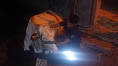 Hatay’ın Altınözü ilçesi Enek Mahallesi’nde dikkat çeken bir olay yaşandı.