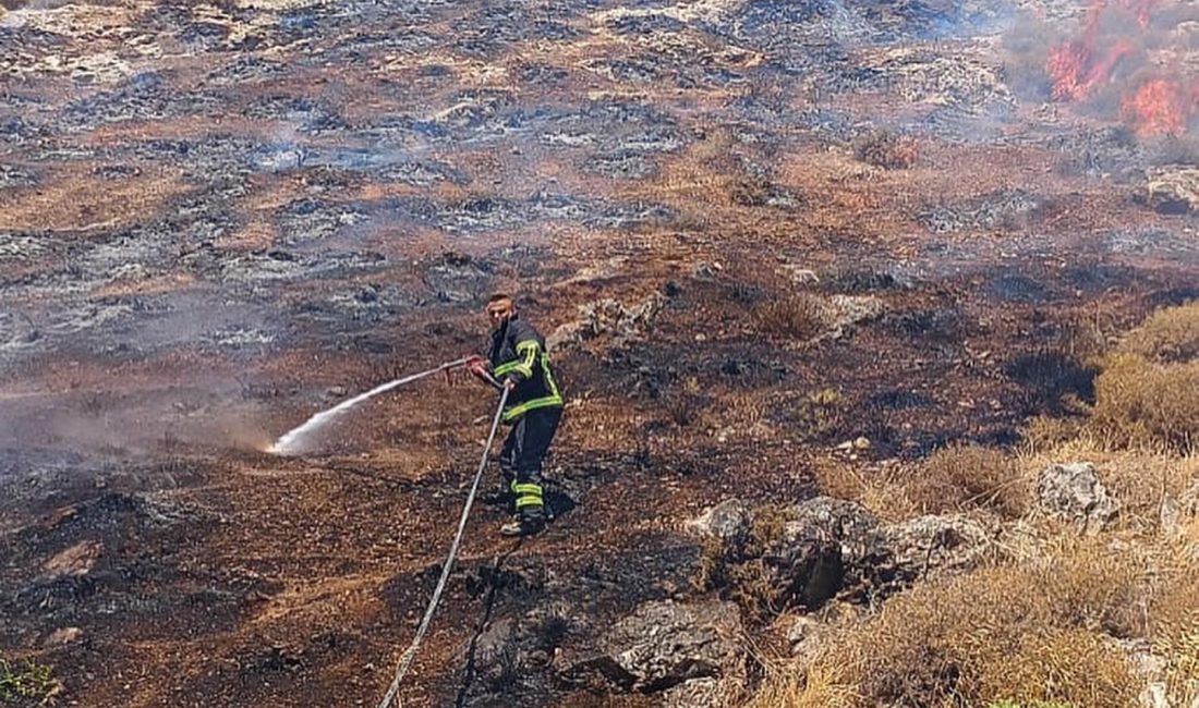 Hatay’ın Belen ilçesinde, makilik