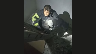 Hatay’ın Hassa ilçesinde apartman boşluğuna düşen köpeğin itfaiye ekipleri tarafından