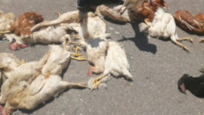 İskenderun’un Meydan mahallesinde ikamet eden Mahmut Öğütçü, yaşadığı trajik olayı