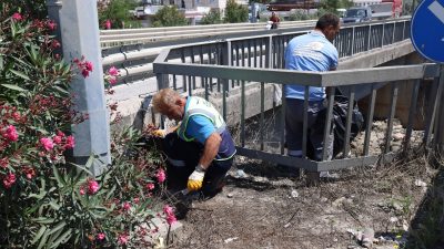 Hatay Büyükşehir Belediyesi, kamuya açık alanlarda yürütülen temizlik çalışmalarını sürdürerek