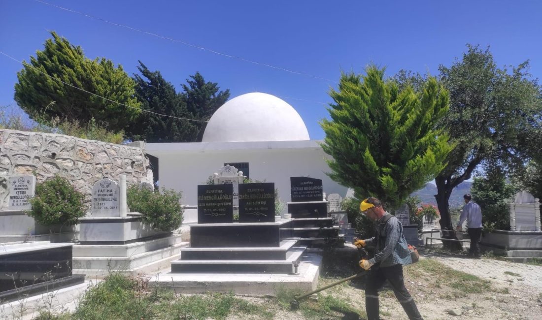 Hatay Büyükşehir Belediyesi, Kurban