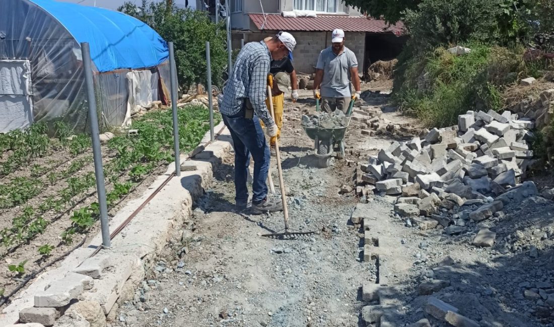 Yayladağı Belediye Başkanı Mehmet