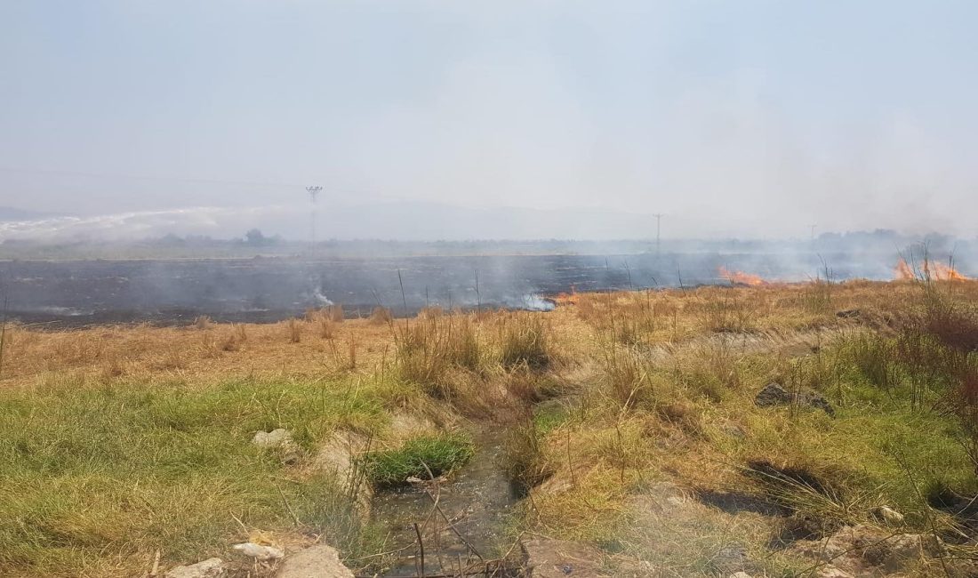 Diyarbakır ve Mardin’de yaşanan