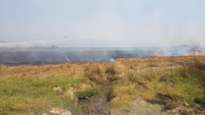 Diyarbakır ve Mardin’de yaşanan anız yangınları, hem çevresel hem de