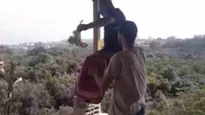 Hatay’ın Samandağ ilçesine bağlı Cemal Gürsel Mahallesi’nde, bir vatandaşın bildirimi