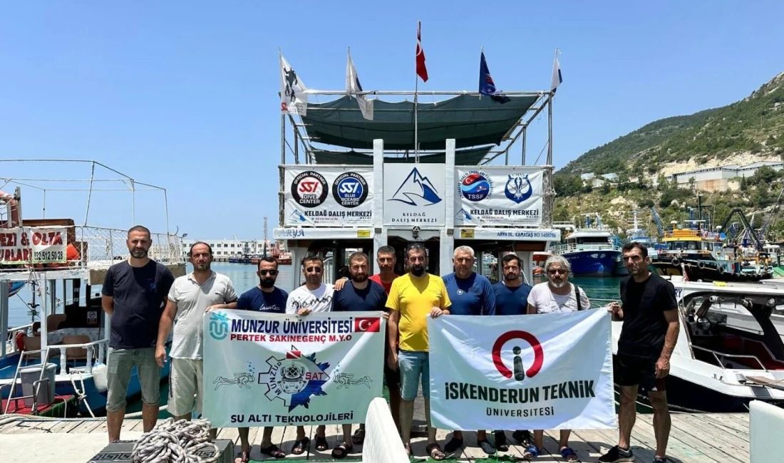 İskenderun Teknik Üniversitesi (İSTE)