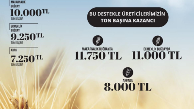 TMO Çiftçileri Hayal Kırıklığına UğrattıToprak Mahsulleri Ofisi (TMO), yaptığı açıklamada,