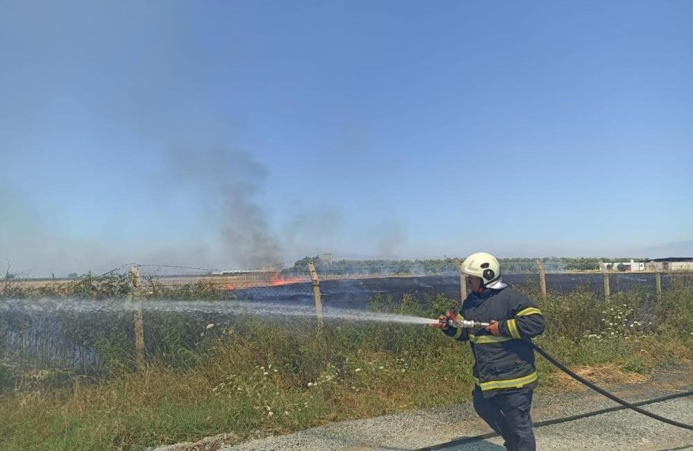 Hatay’ın Reyhanlı ilçesinde bulunan