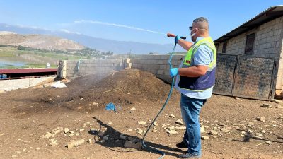 Hatay Büyükşehir Belediyesi(HBB), il genelinde sıcaklıkların artmasıyla birlikte sinek, haşere