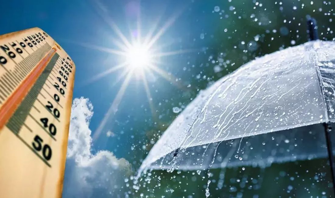 İzmir Bakırçay Üniversitesi Coğrafya Bölümü Başkanı Prof. Dr. Şermin Tağıl: