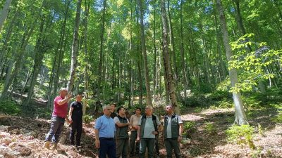 Hatay Orman Bölge Müdürü Salim Karabulut, beraberindeki heyetle birlikte Akçay