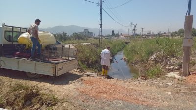 Antakya Belediyesi, larva üreme noktalarında uçkunla mücadele çalışmalarını sürdürmek için