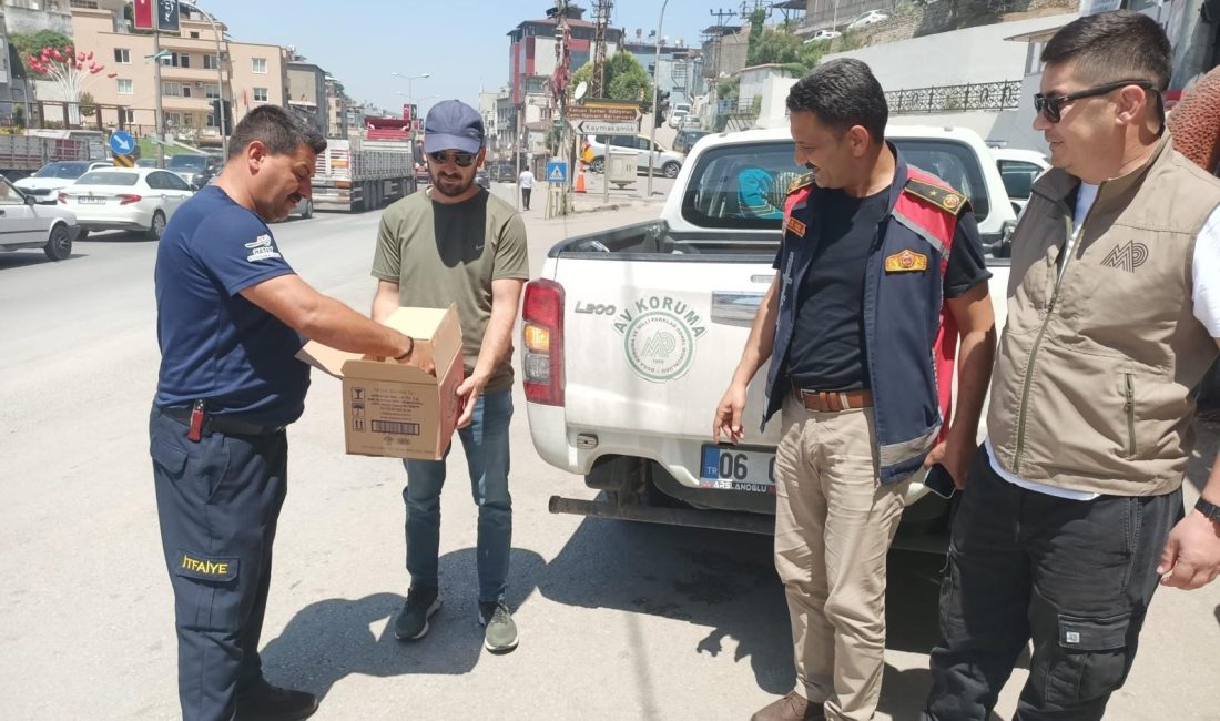 Hatay’ın Belen ilçesinde, havalandırma borusunda mahsur kalan baykuş yavrusu itfaiye