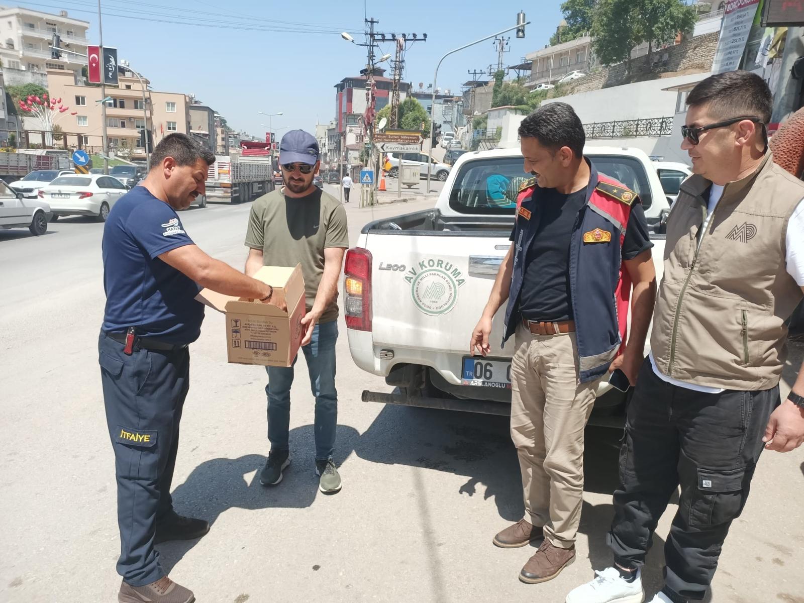 Mahsur kalan baykuş yavrusunu itfaiye kurtardı