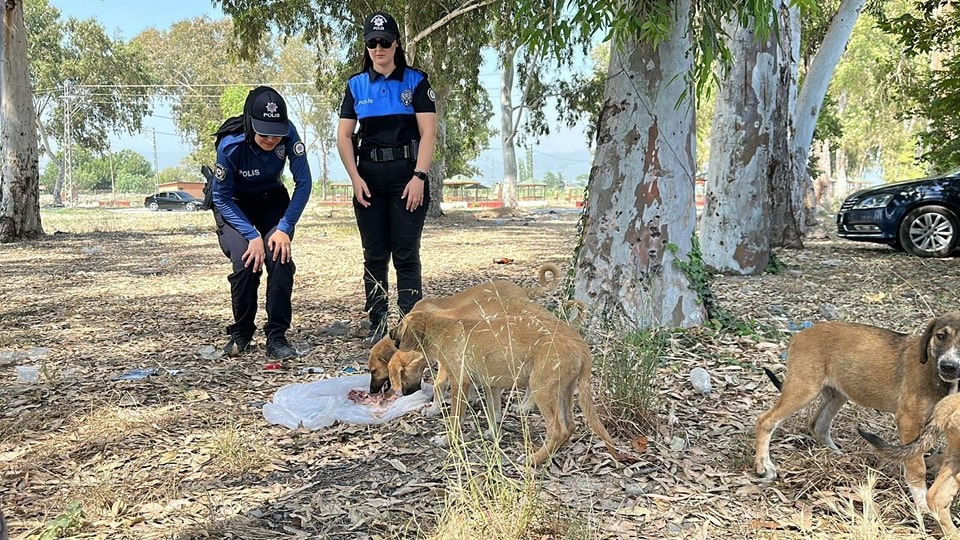 Polis ve gençlerden Dörtyol’da örnek inisiyatif