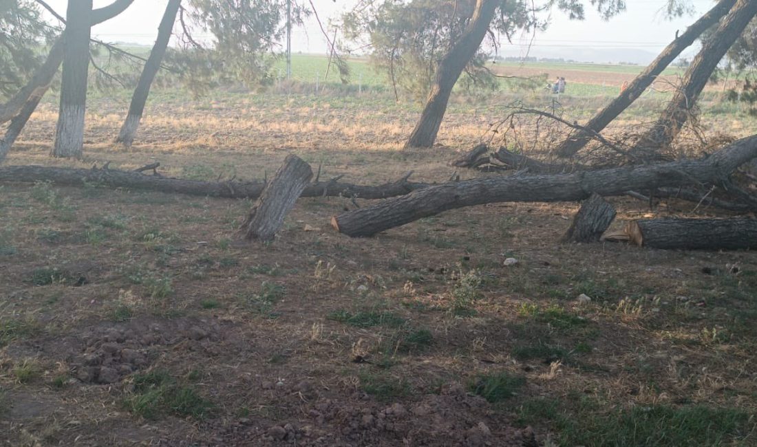 Hatay’ın Kumlu ilçesinde bulunan