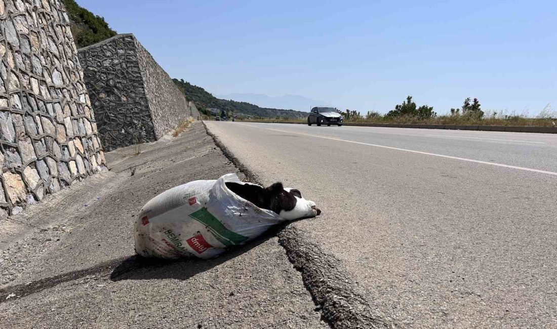 Hatay’ın Arsuz ilçesinde meydana